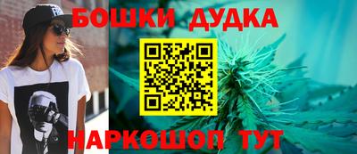 сатива Моздок