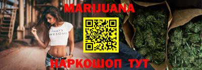 сатива Моздок
