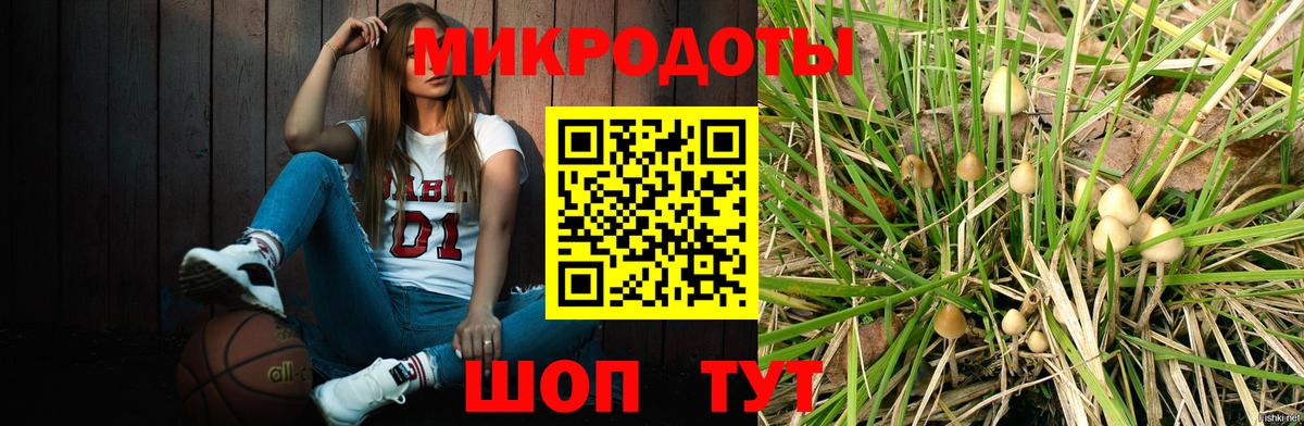 Псилоцибиновые грибы GOLDEN TEACHER Фролово